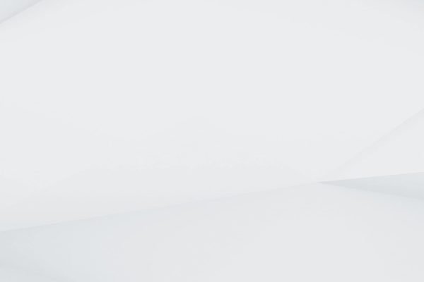 Pellentesque venenatis ac